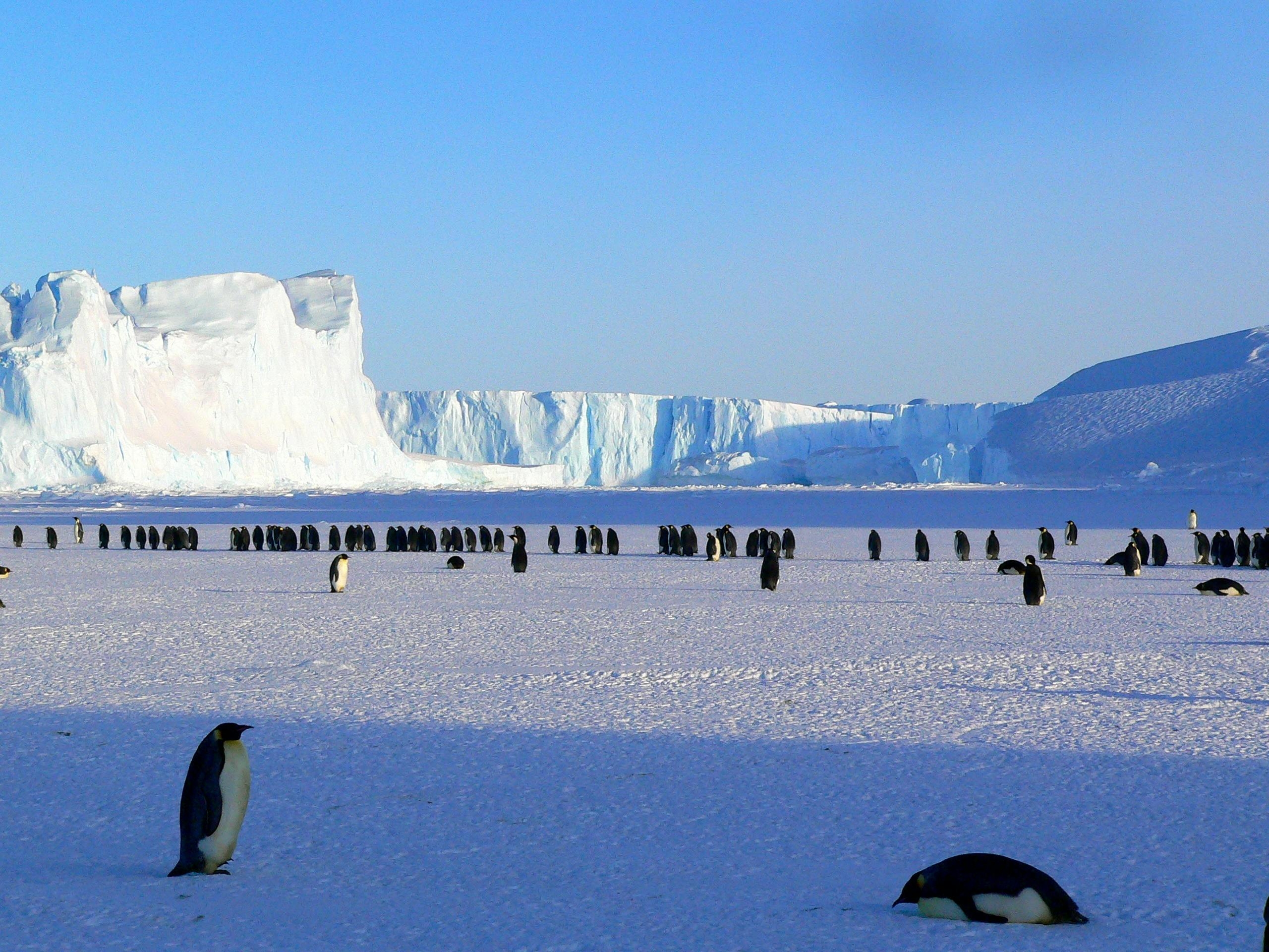 Antarctica hero image 0